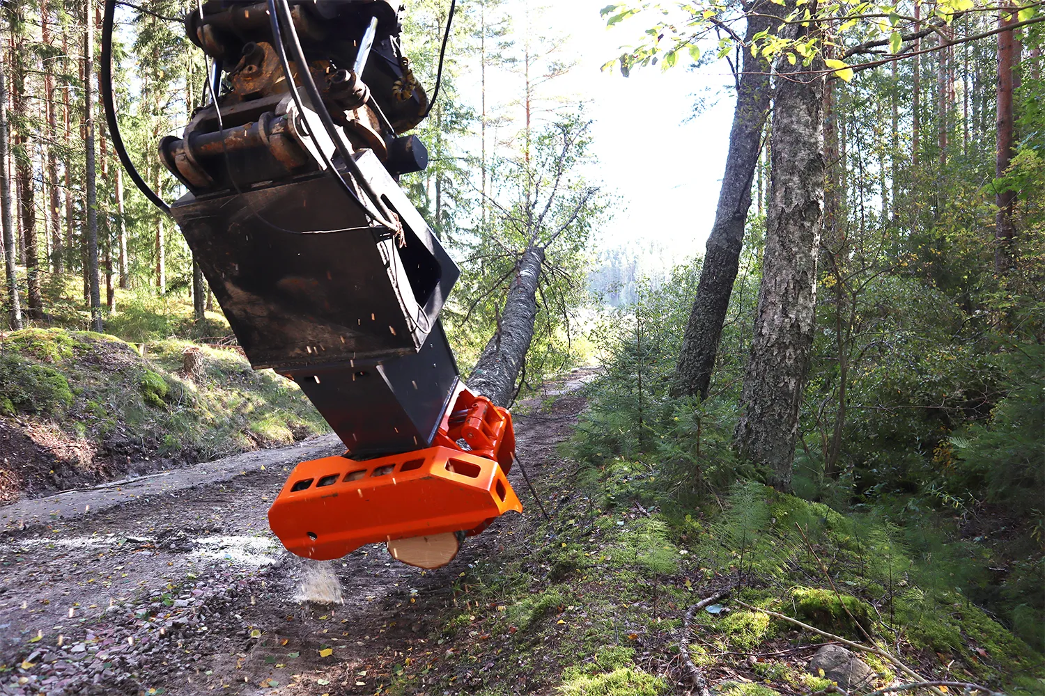Zdjęcie 6