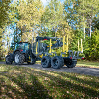 Palms 11UX — zdjęcie 4