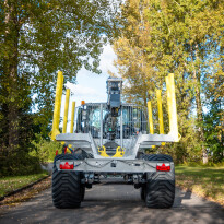 Palms 11UX — zdjęcie 5