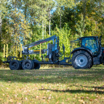 Palms 11UX — zdjęcie 6