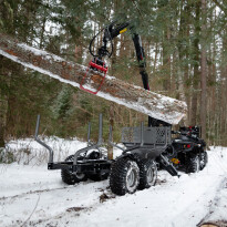 Palms 1.42 — zdjęcie 2