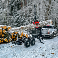 Palms 1.42 — zdjęcie 3