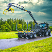 Palms 3.67 — zdjęcie 1