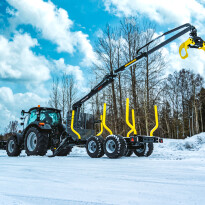 Palms 3.67 — zdjęcie 2