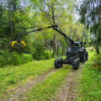 Palms 3.67 — zdjęcie 4