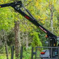 Palms 3.67 — zdjęcie 5