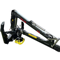 Palms 5.75 — zdjęcie 1