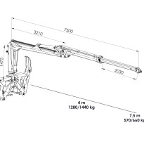 Palms 5.75 — zdjęcie 2