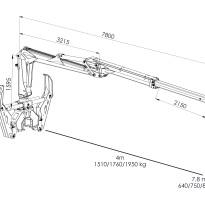 Palms 7.78 — zdjęcie 1