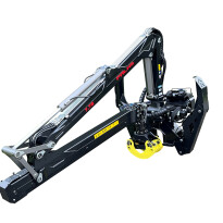 Palms 7.78 — zdjęcie 2